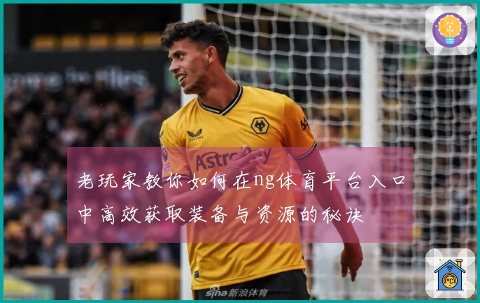 老玩家教你如何在ng体育平台入口中高效获取装备与资源的秘诀